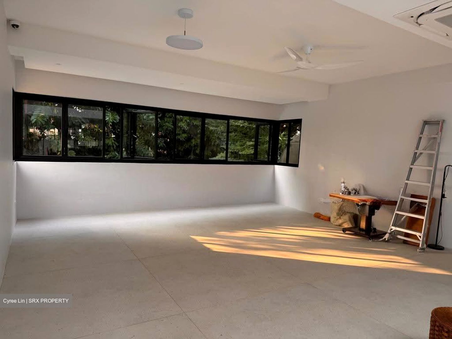 The Balmoral (D10), Condominium #616838981